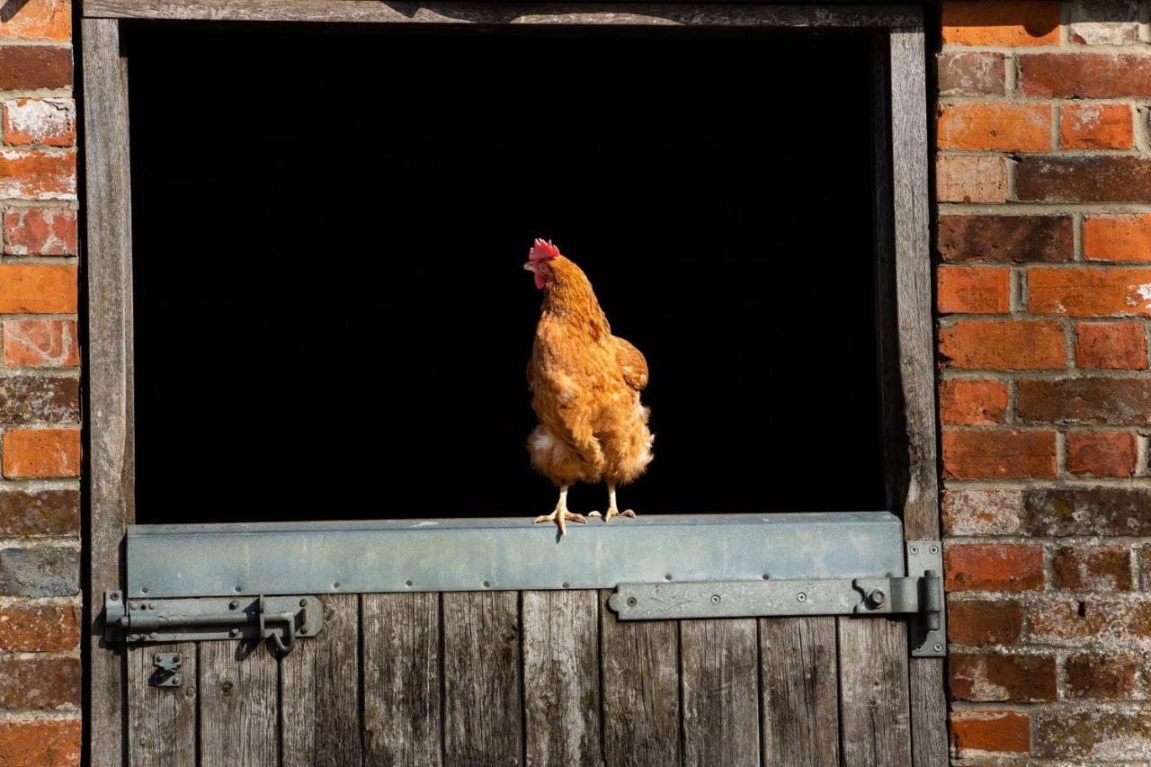 The Farm At Avebury Holiday home