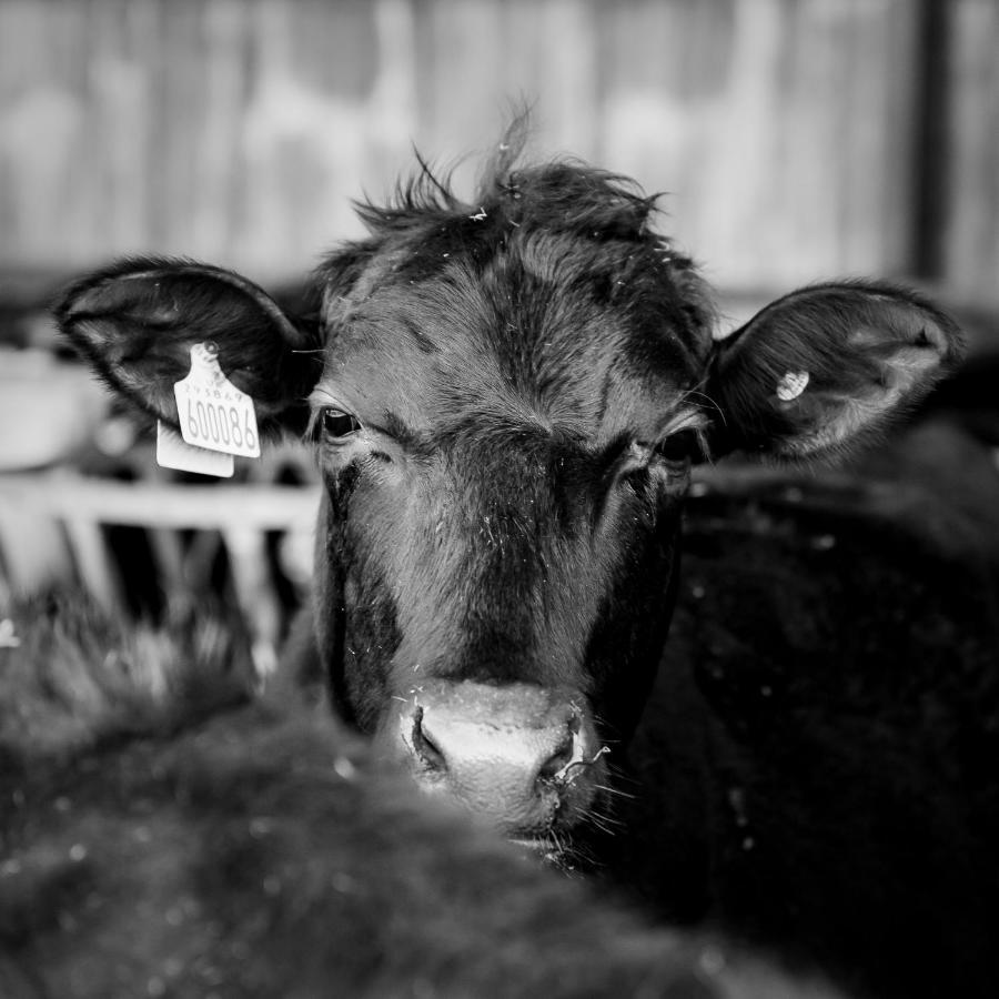 The Farm At Avebury Holiday home